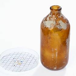 Amber-coloured beer bottle and a petri dish with paint chips inside.