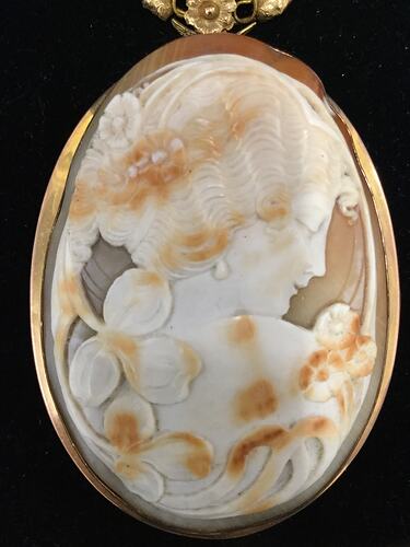 Oval cameo made of white and brown mottled shell. Features a female bust facing right. Framed by foliage she wears flowers in her hair. Cameo has a plain gold setting.