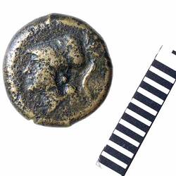 Coin - Copper, Cales, Campania, Italy, circa 250 BC