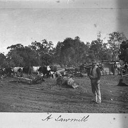 Photograph - 'A Sawmill', by A.J. Campbell, Riverina, New South Wales, Jun 1895