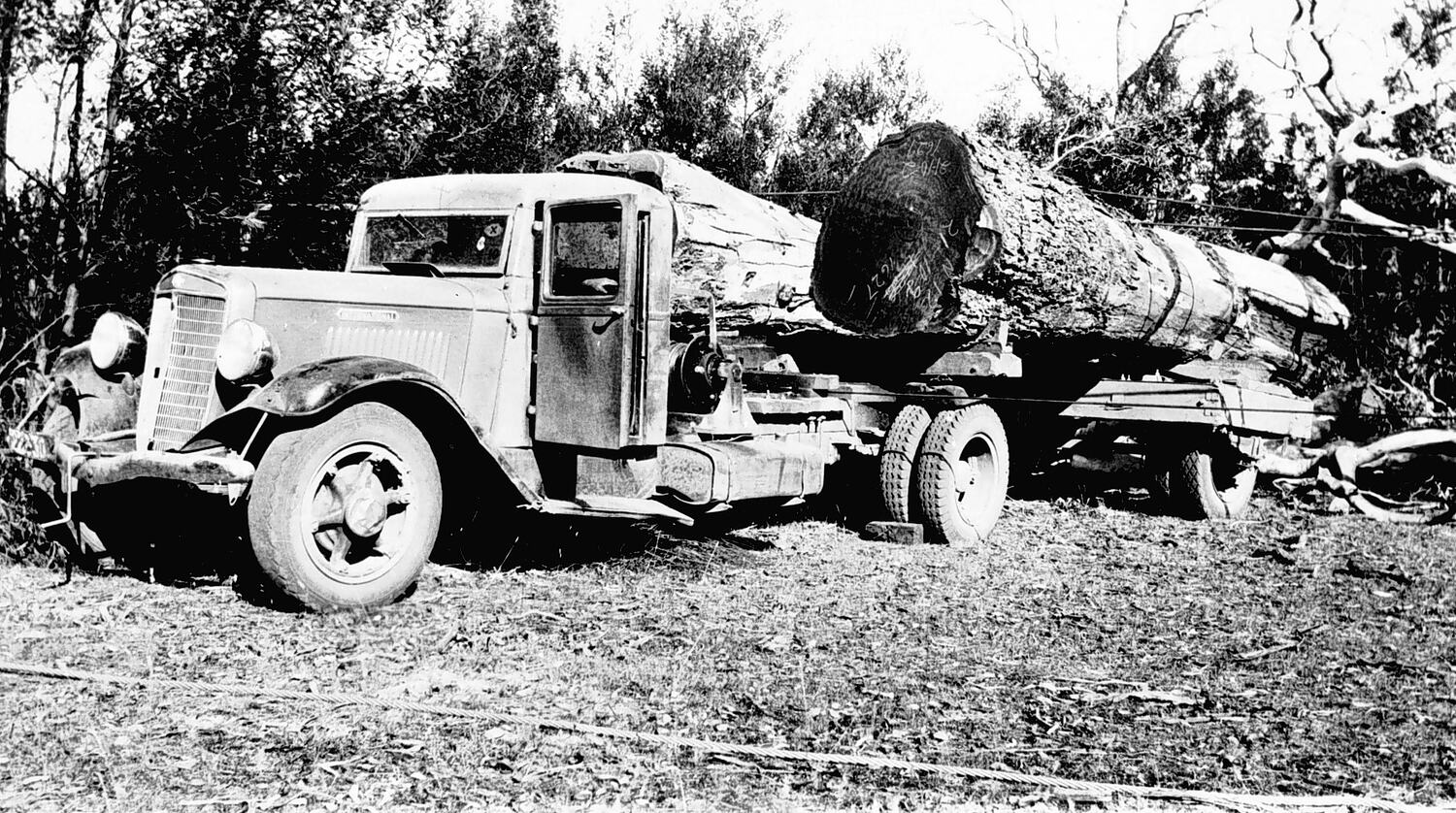 Negative Chetwynd District, Victoria, 1937