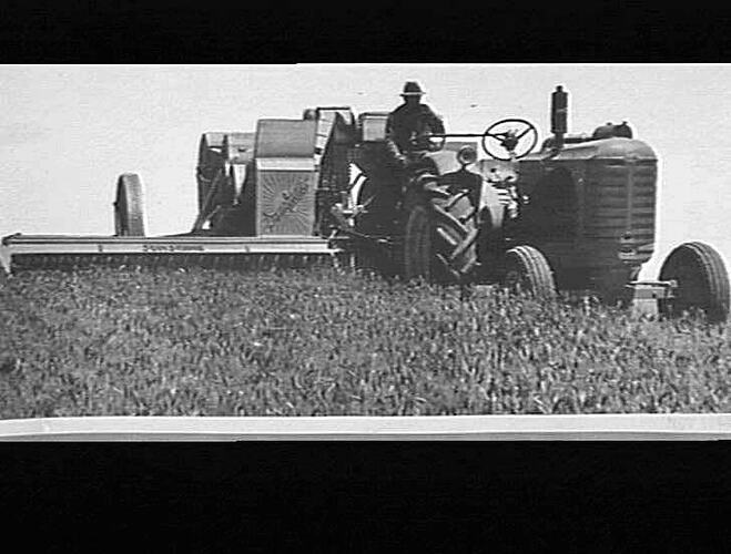 Photograph - H. V. McKay factory and/or equipment