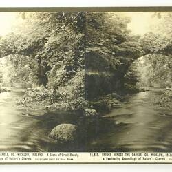 Rose Stereograph - 'Bridge Across the Dargle, Wicklow, Ireland'