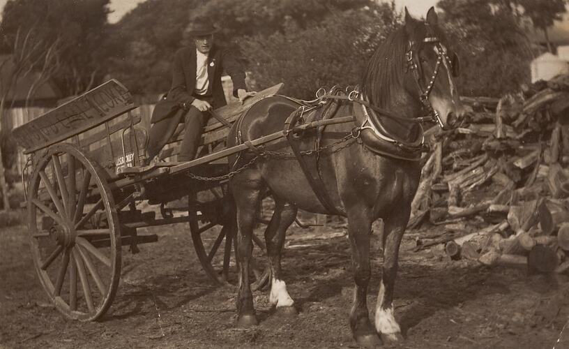 Digital Photograph - Owner with Horse & Cart, Chelsea Wood Yard, 1924