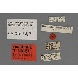 Entomology type specimen labels.