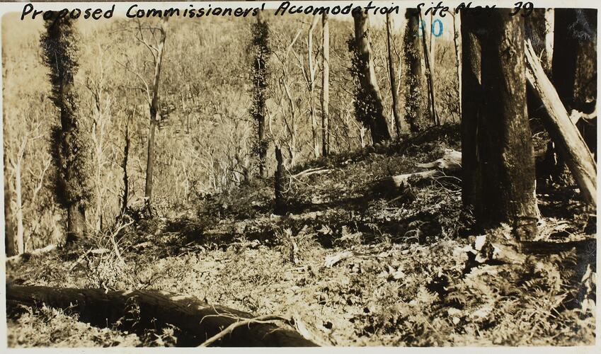 Photograph - State Electricity Commission, Proposed Commissioner's Accommodation Site, Kiewa, Victoria, Nov 1939