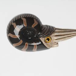<em>Goniatites</em>