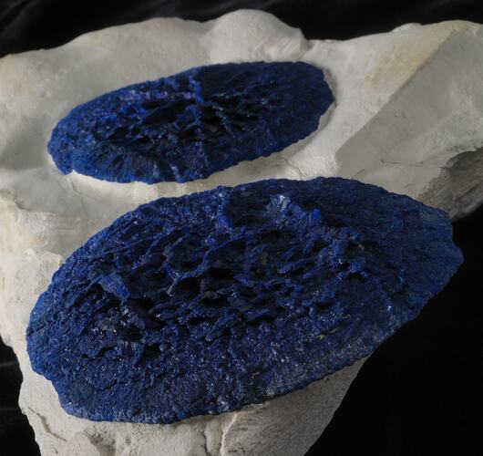 Two round blue plates of mineral on a white rock.