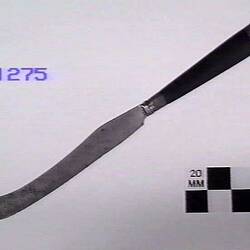 Side view of knife with curved blade.