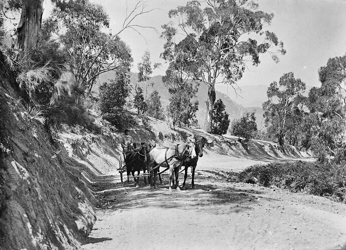 Horsedrawn vehicle in the shade of a tree on an unsealed highlands road.