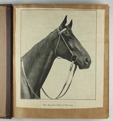 Scrapbook page with newpaper clipping of the horse Phar Lap.