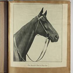 Scrapbook page with newpaper clipping of the horse Phar Lap.