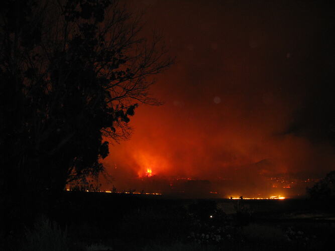 Bushfire burning on a hillside at night.