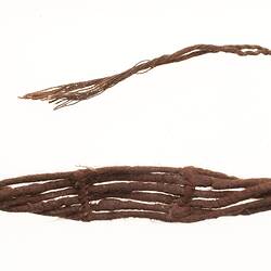 Neck ornament, Australia, Gulf