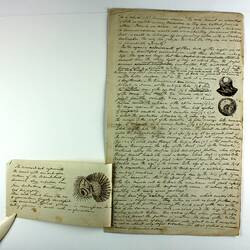 Manuscript Extract - Archive, John Cotton, 1843-1849