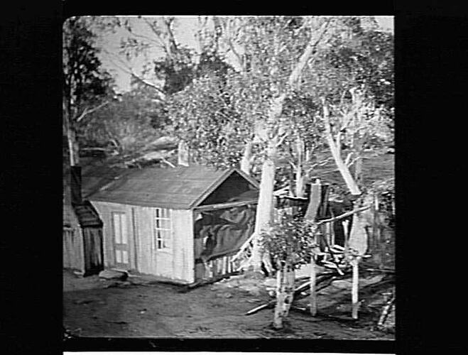 MT. BUFFALO - SCENIC VIEWS OF THE AREA
