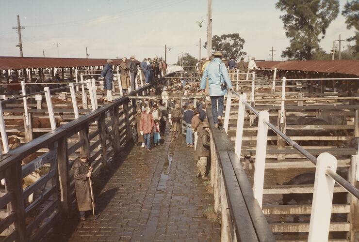 Stock Laneway and Walkways, Newmarket, Sept 1985
