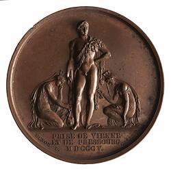 Medal - Vienna Captured, Napoleon Bonaparte (Emperor Napoleon I), France, 1805