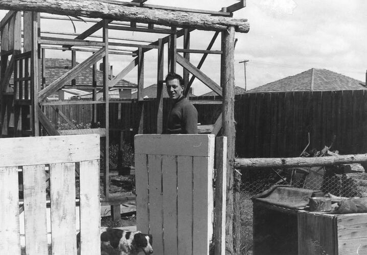 Digital Photograph - Building a Back Shed, John Woods, Lalor, 1960