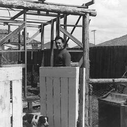 Digital Photograph - Building a Back Shed, John Woods, Lalor, 1960