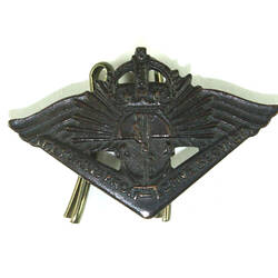 Front of triangular cast badge.
