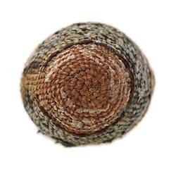 Basket (Base) - Milingimbi, Eastern Arnhem Land, c.1930