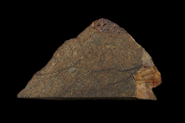 Wynella Meteorite. [E 4290]