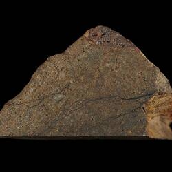 Wynella Meteorite. [E 4290]