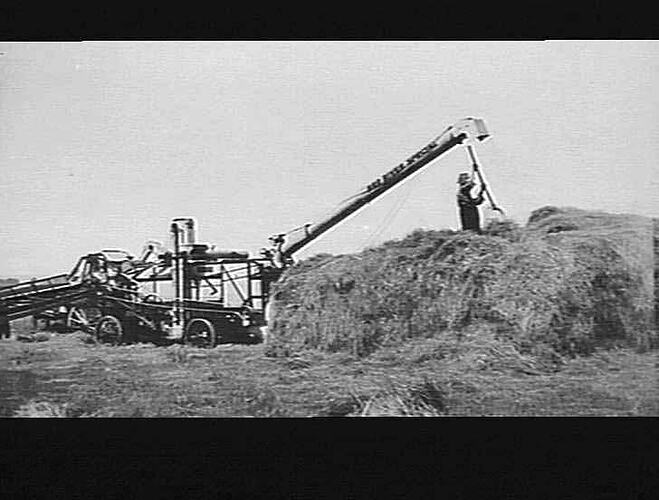 RED RIVER SPECIAL THRESHING MACHINE AT WORK, N.Z.: MARCH 1928