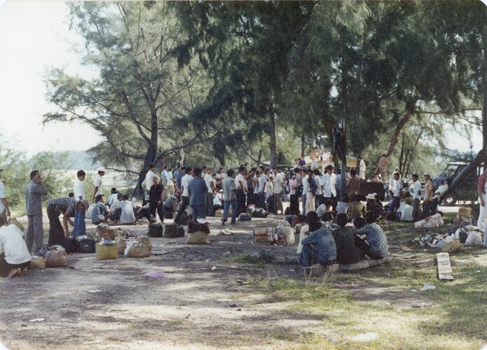 Group of people under trees at a beach.