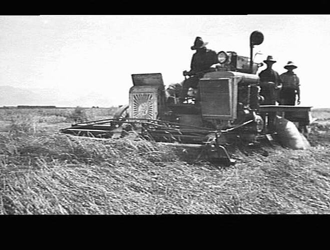 ON MR. W.J.S. PERRETT'S FARM, GUNNEDAH: JAN 1934