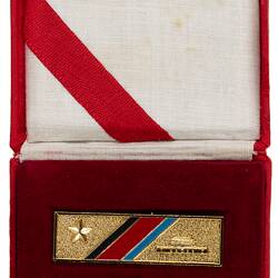 Gold medal and bar stored in red velvet case.