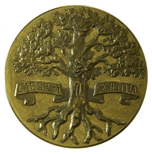Medal - Royal Horticultural Society Gold Prize, 1906