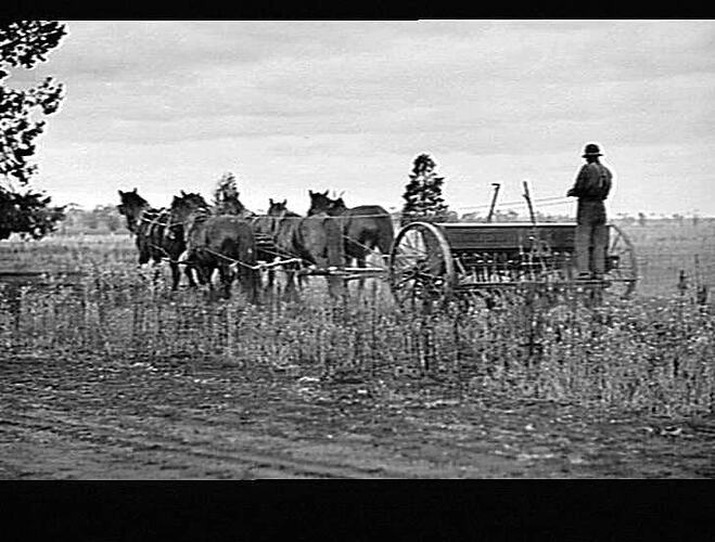 MR. THOMAS A COUTTS, `ENNISKILLON', BAGDAD NEAR TEMORA: JUNE 1922