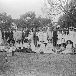 Negative - Kaniva District, Victoria, circa 1914