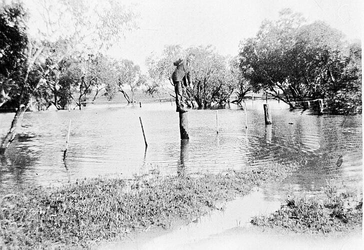 [Flooded paddocks, Speed, 1920s.]