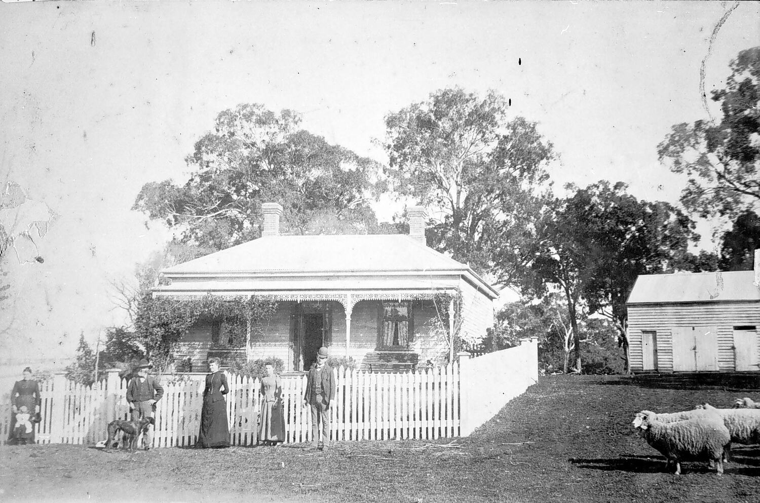 Negative - Counihan Family in Front of Homestead on 'Emerald Hill' Farm ...