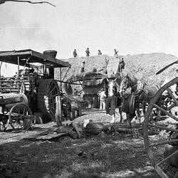 Negative - Threshing on 'Wyadra' Farm, Tarrawingee, Victoria, circa 1930