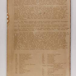 Exhibition Label - Indian Elephant, National Museum of Victoria, Melbourne circa 1905