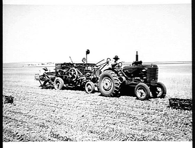 STOOKING OATS AT MUDEGONGA VIC.: DEC. 1949