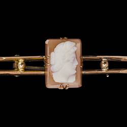 Double gold bar with central rectangular reddish-brown and white female cameo bust facing right.
