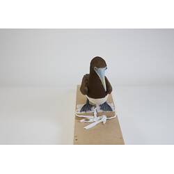 <em>Sula leucogaster plotus</em>, Brown Booby. [B 20950]