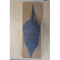 <em>Priodontes maximus</em>, Giant Armadillo. [C 30364]