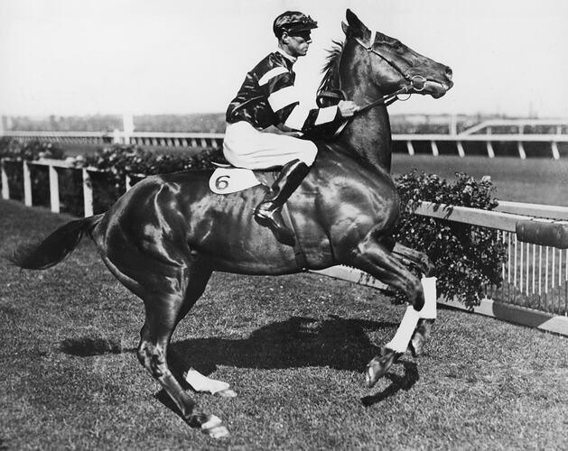 Jockey wears striped top, white jodpurs. Rides slightly reared-up horse at race track. No. 6 on saddle cloth.