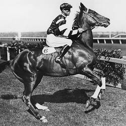 Photograph - Jim Pike Riding Phar Lap at Derby Day, Flemington Racecourse, Victoria, 1930