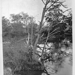 Photograph - 'Latrobe River, Gippsland', by A.J. Campbell, Victoria, circa 1895