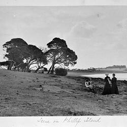 Photograph - 'Scene on Phillip Island', by A.J. Campbell, Westernport, Victoria, Mar 1902