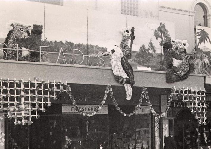 Photograph - Decorated Building, Ballarat, 1939