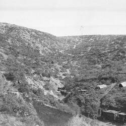 Victoria Gully, Gallipoli, 1915