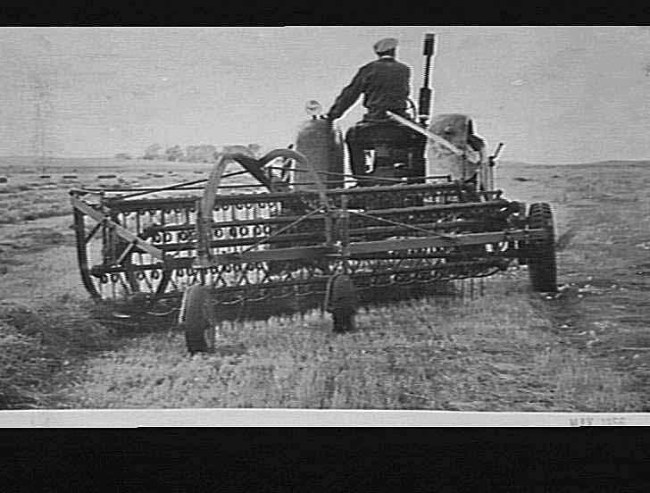 Photograph H.V. McKay Massey Harris, Tractor with Hay Rake at Work